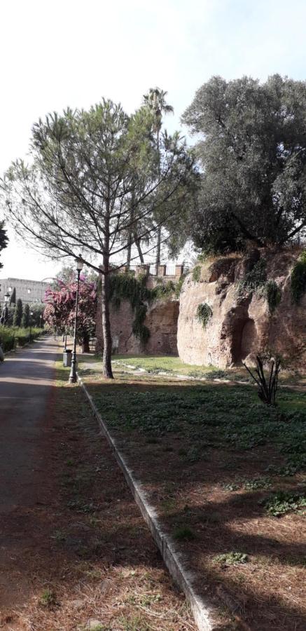 Affittacamere Chiara Stella 5*
