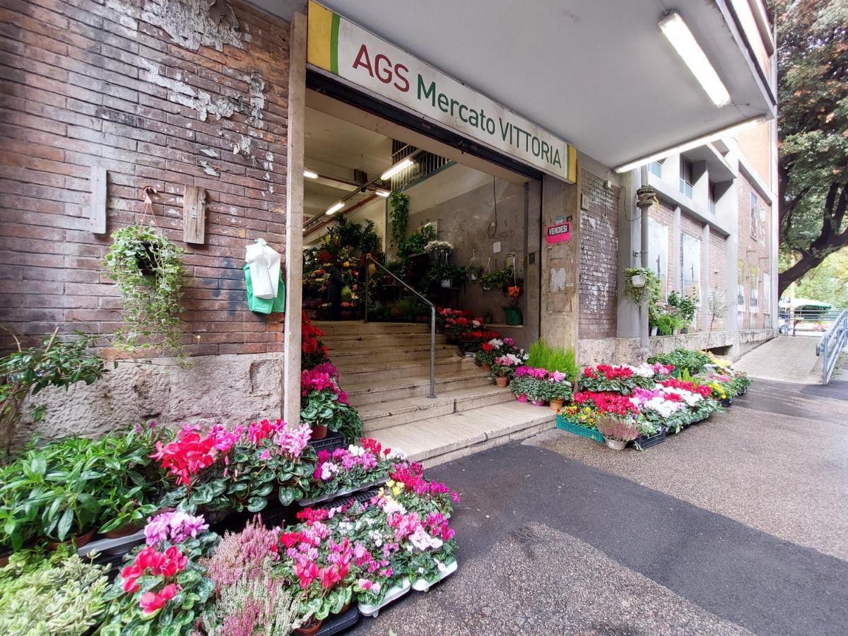 Appartamento Montesanto - Near The Vatican Roma