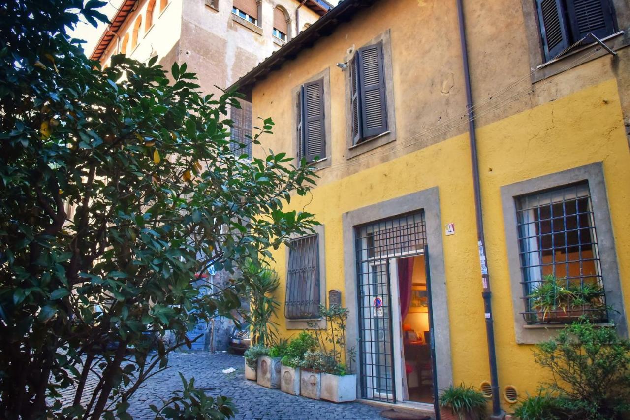 Cedro * Roma