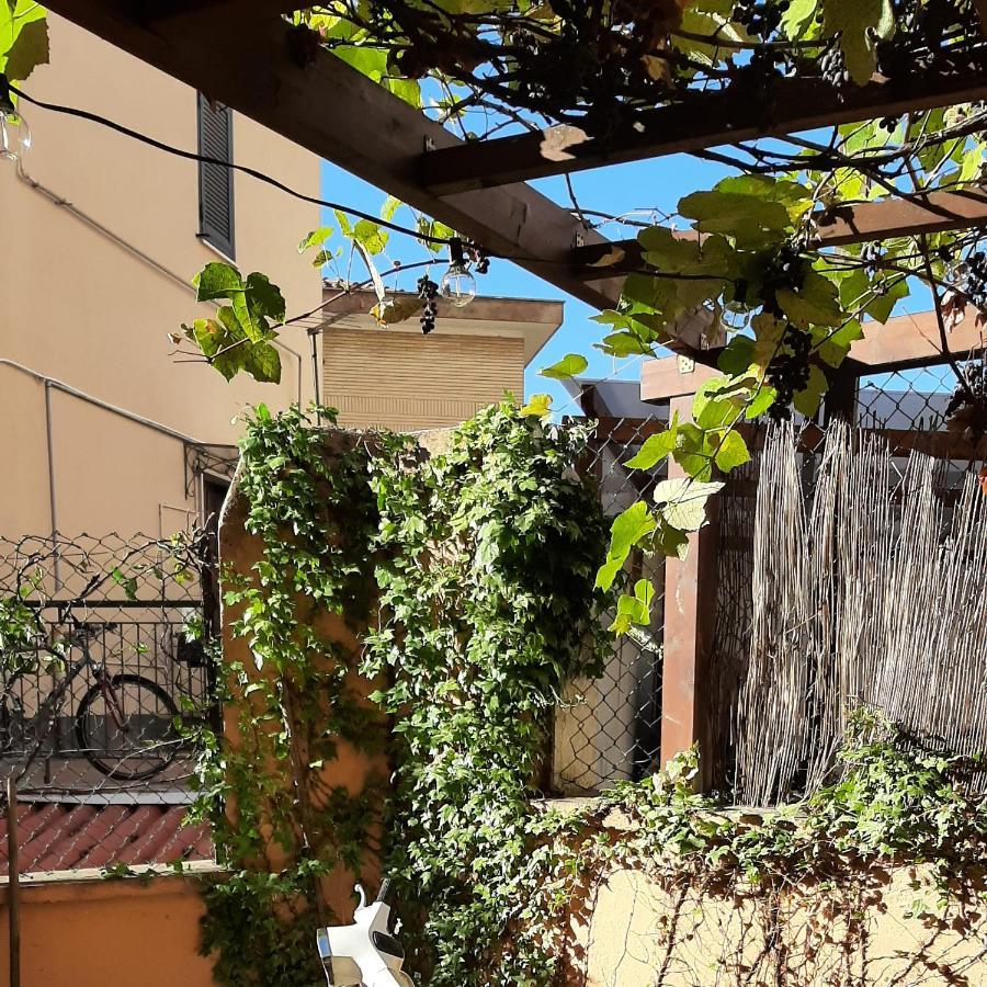Casa Federico - Beauty With Wonderful Terrace * Rome