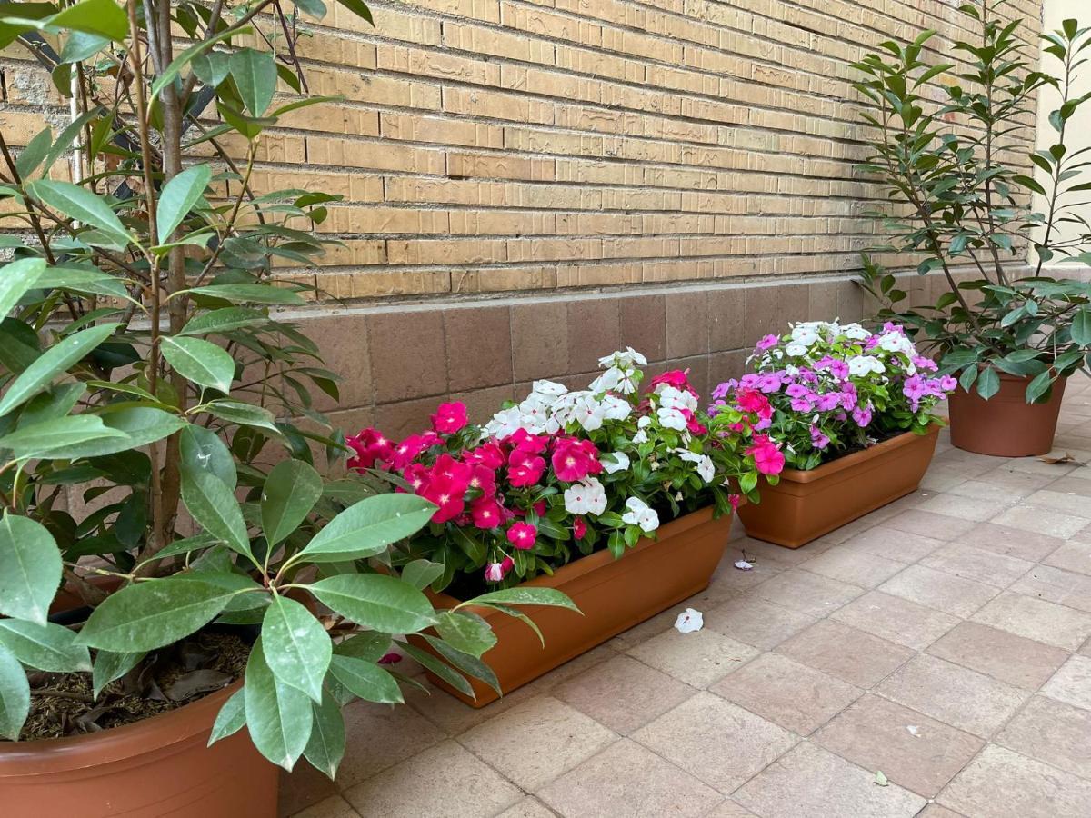 Flowers In Rome