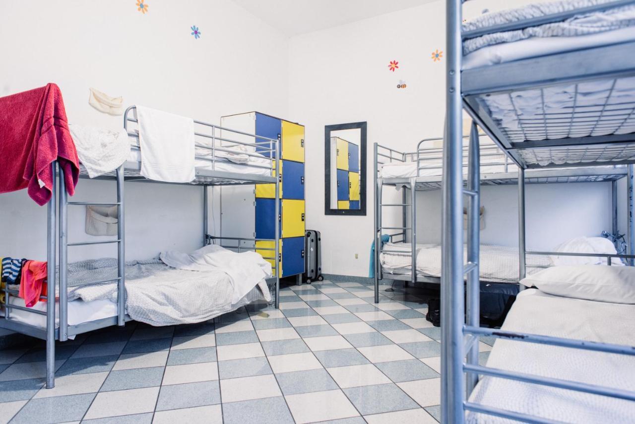 Hostel The Beehive *