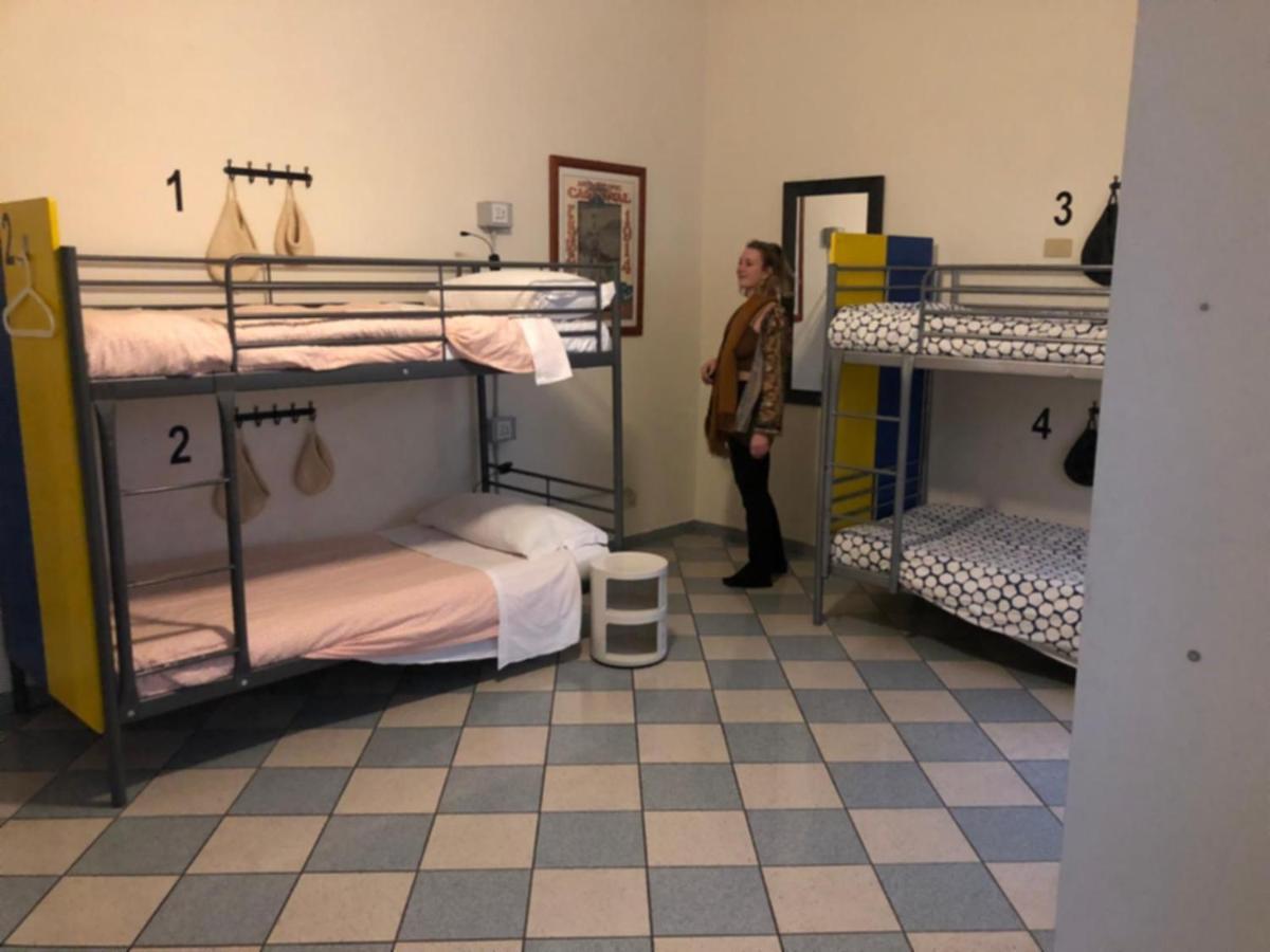 The Beehive Hostel *