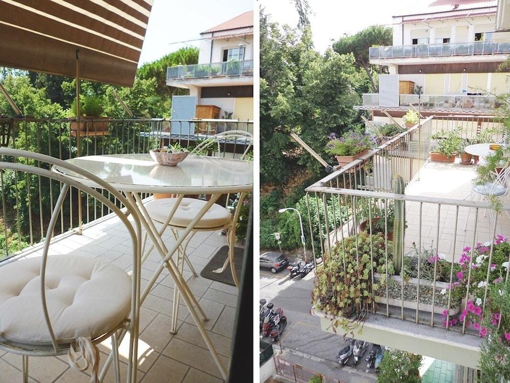 Romulus Rex Guest house 2*