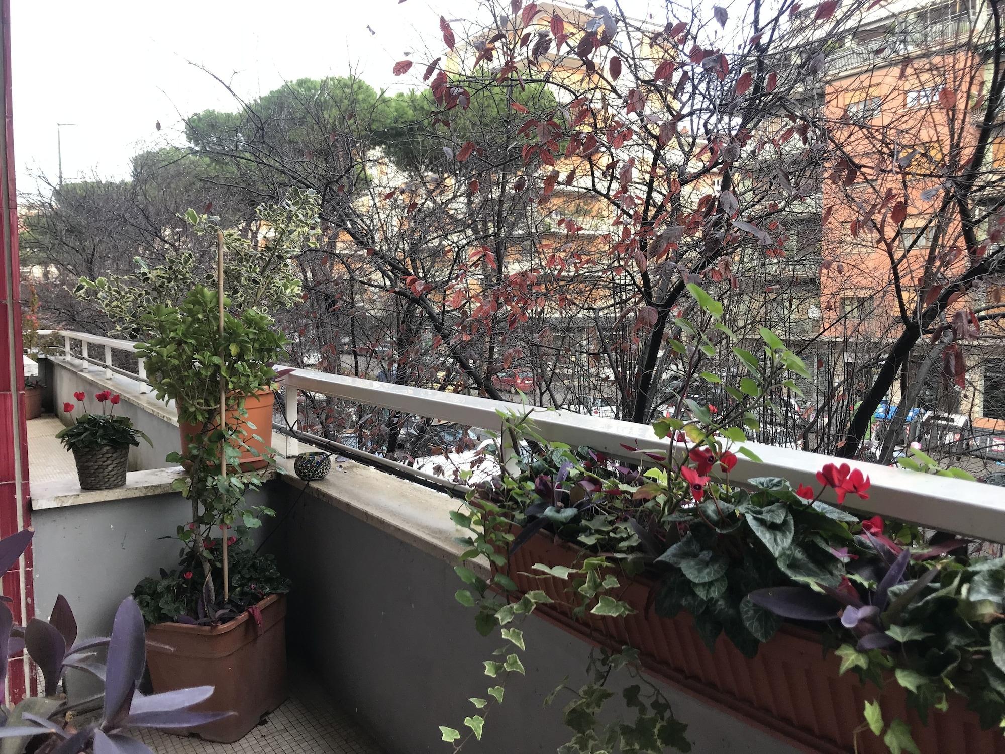 Guest house Casa Mia Vaticano Rome