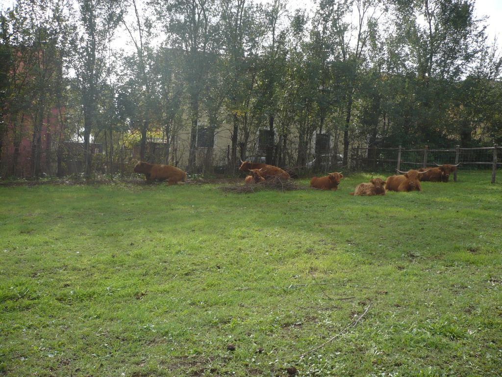 Bed & Breakfast Il Baffetto 3*