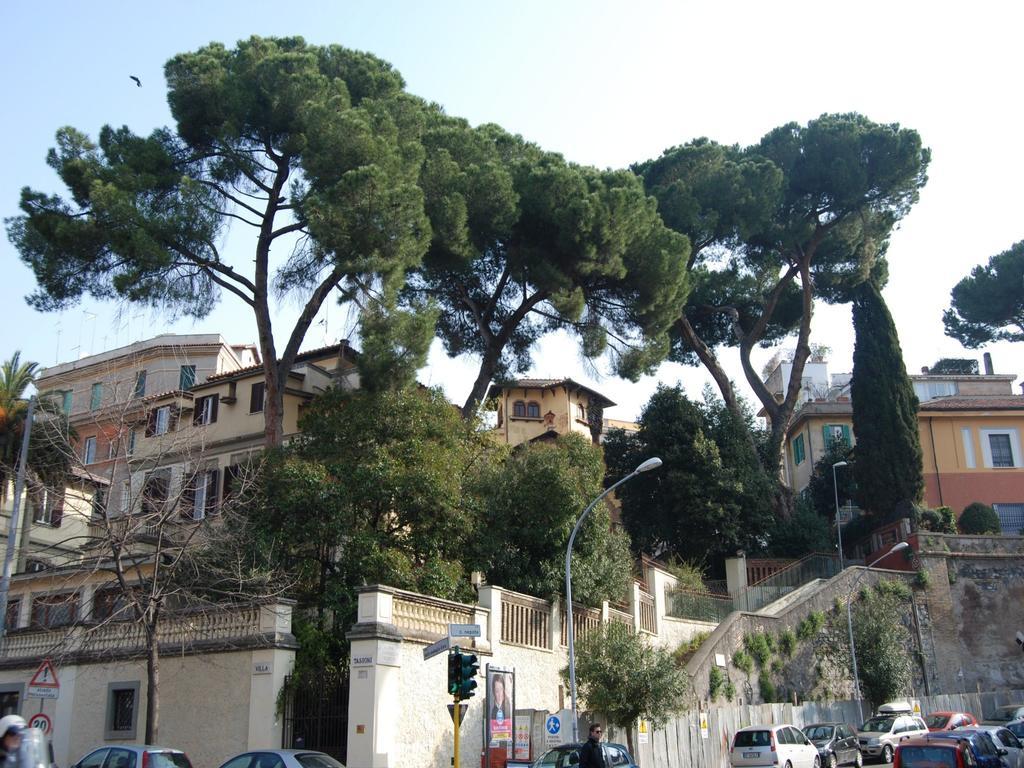 Tassoni Rome