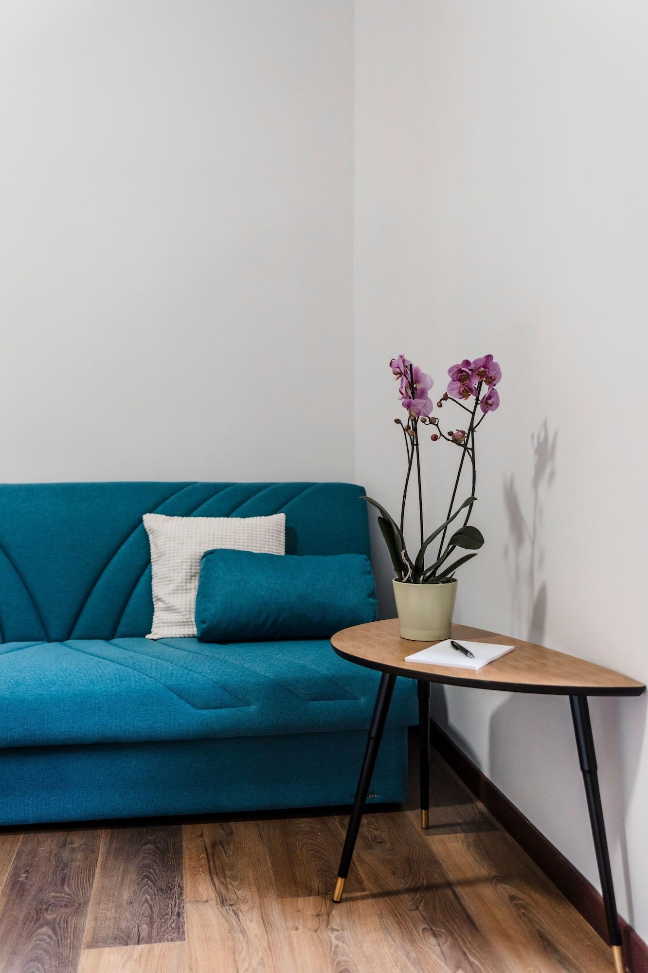 Alea Guest house