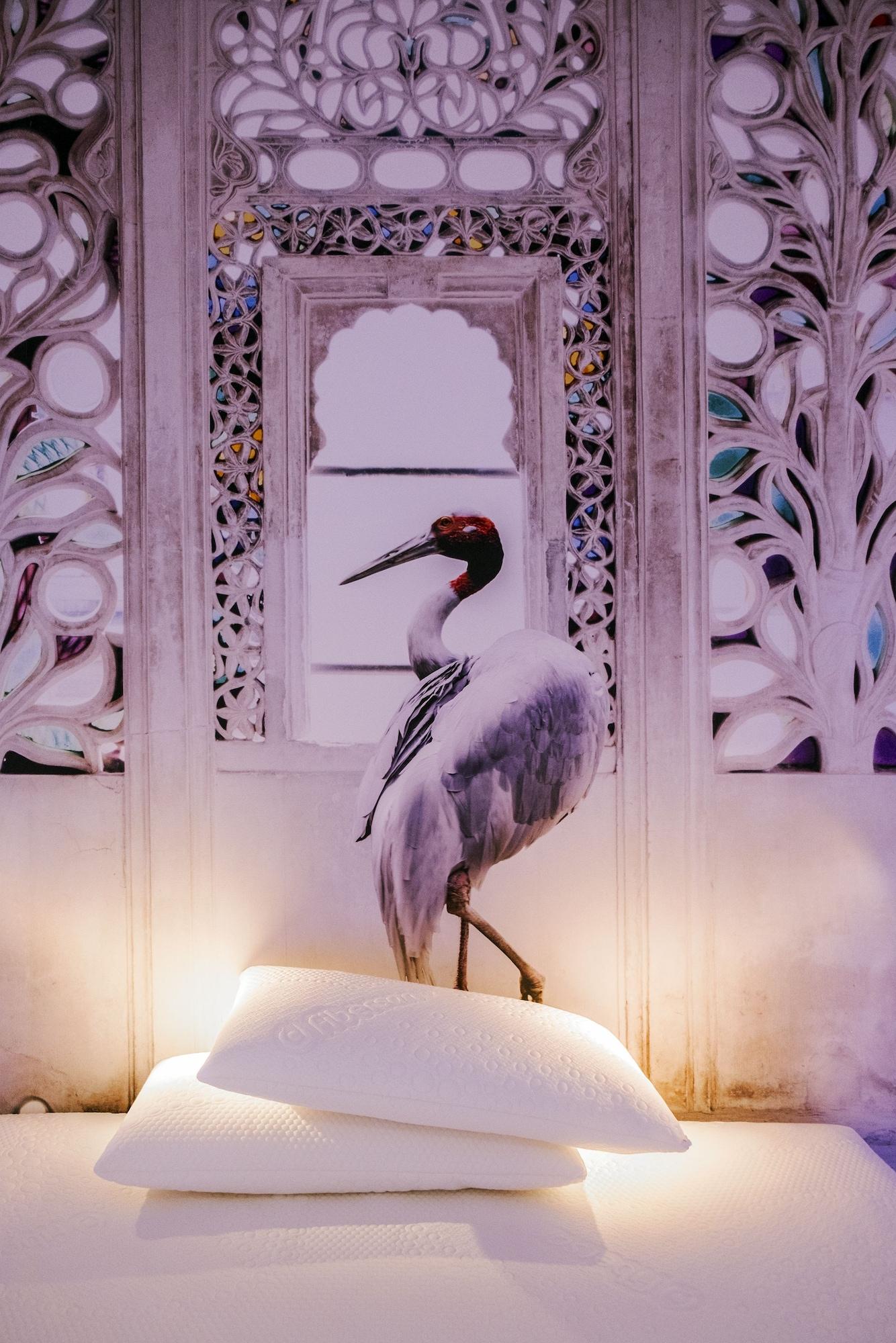 Trevi Elite Guest house
