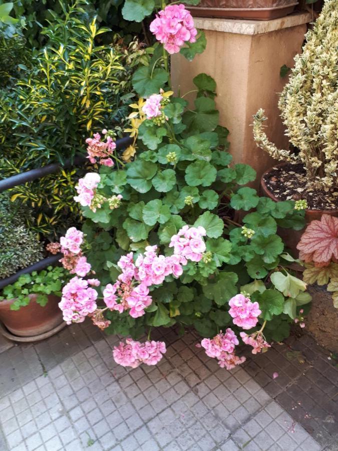 Bed & Breakfast Tra Gianicolo E Trastevere