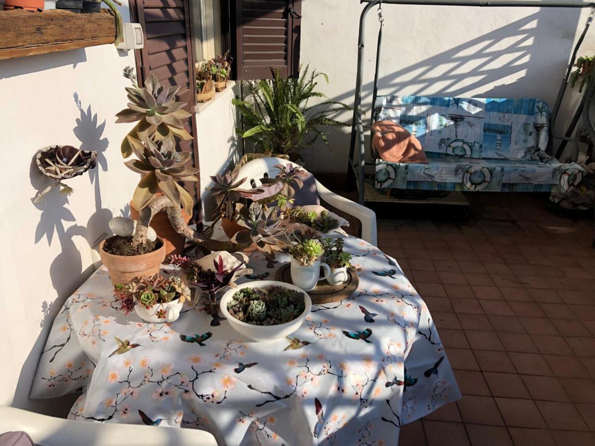 Alloggio in famiglia Lizartgarden Panoramic