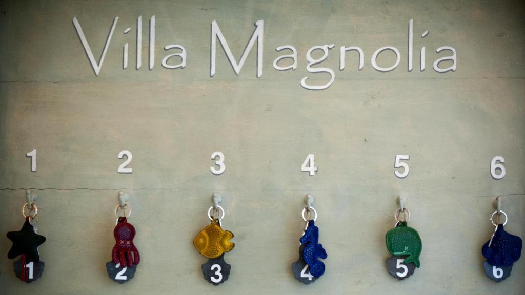 Bed & Breakfast Magnolia Relais Rome