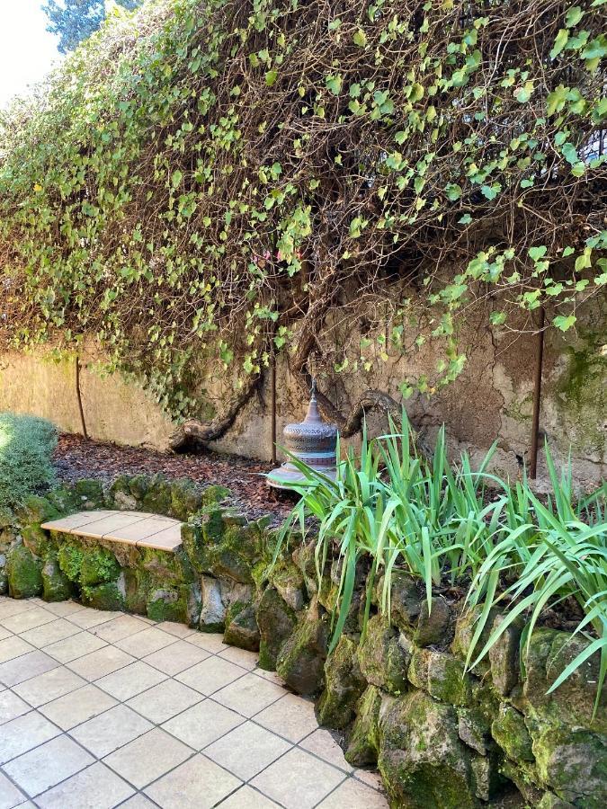 Trastevere Oasi Garden - Appartamento *