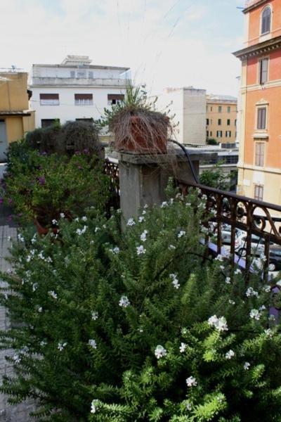 Hotel Eleven Rome