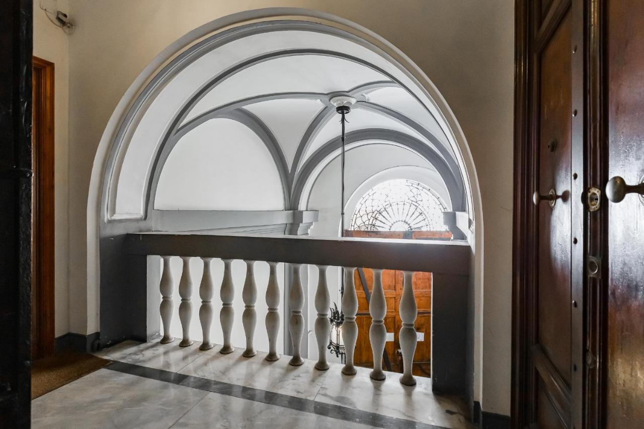 New Opening!! - Babuino Exclusive *