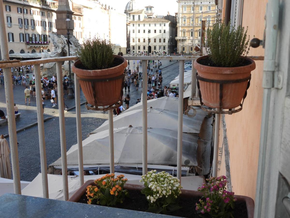 Best View Charming *