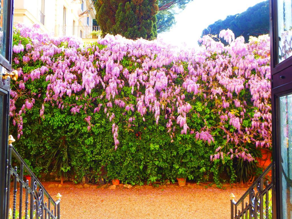 Guest house Domus Monami Luxury Rome
