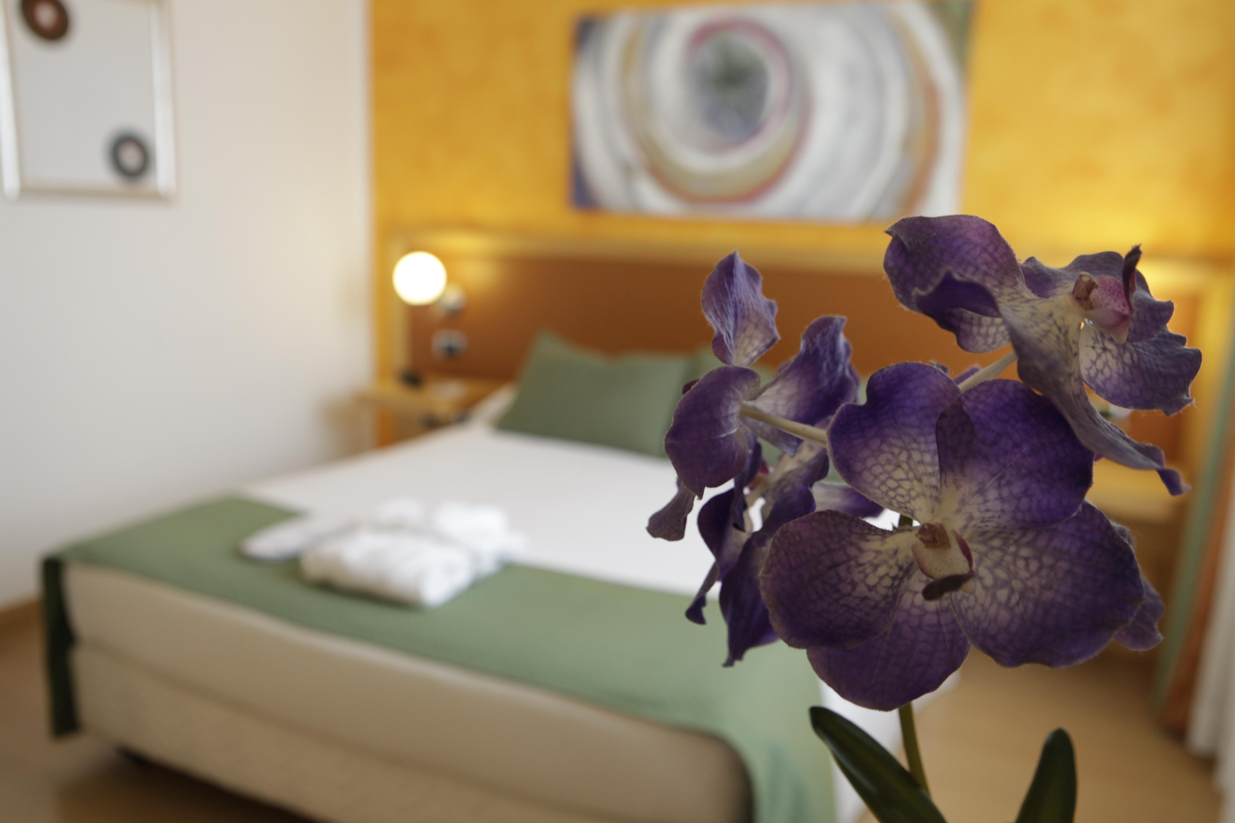 Ibis Styles Vintage