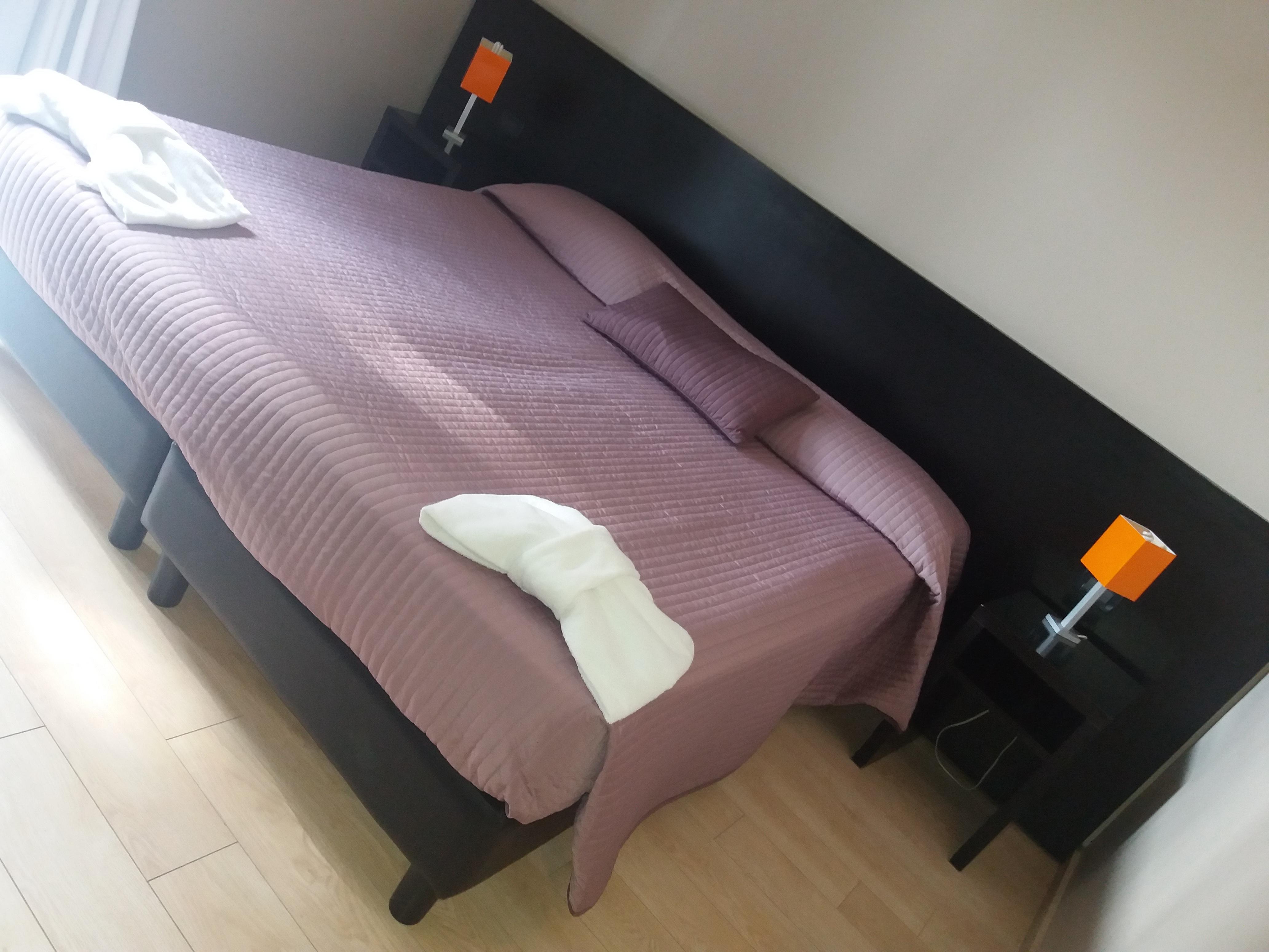Hotel Aniene Rome
