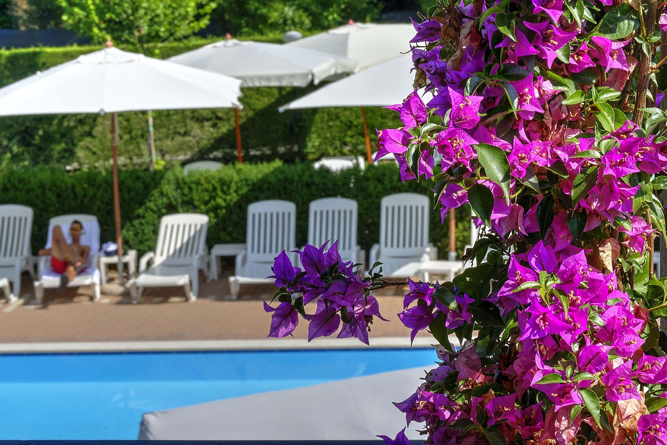 Flaminio Village Park Campsite Rome