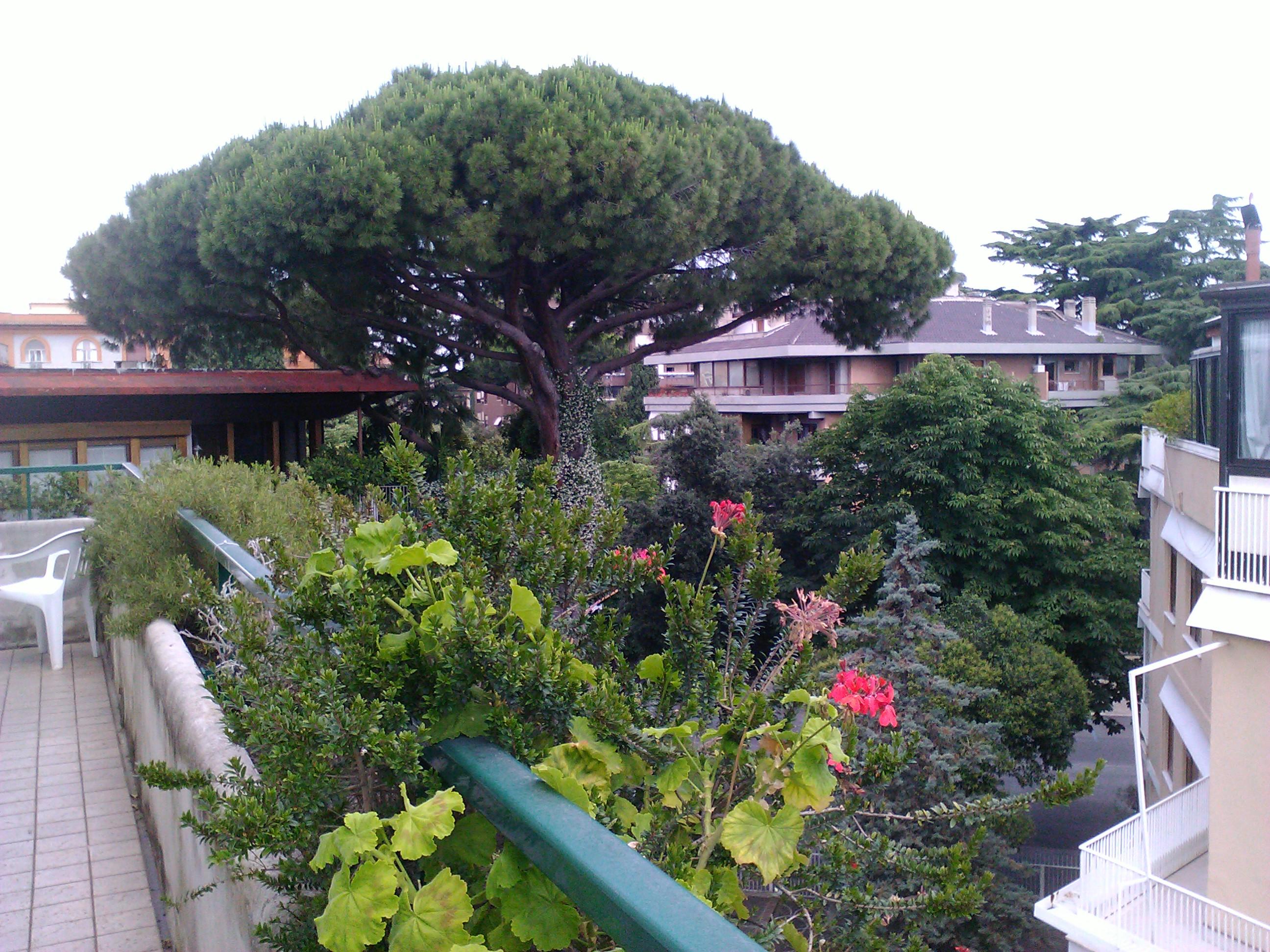 Prati Rome