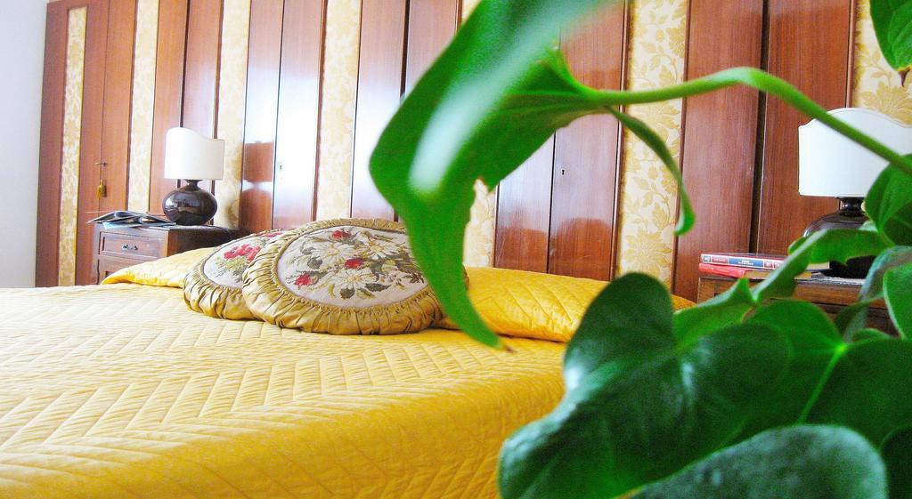 Guest house Romulus Rex 2*