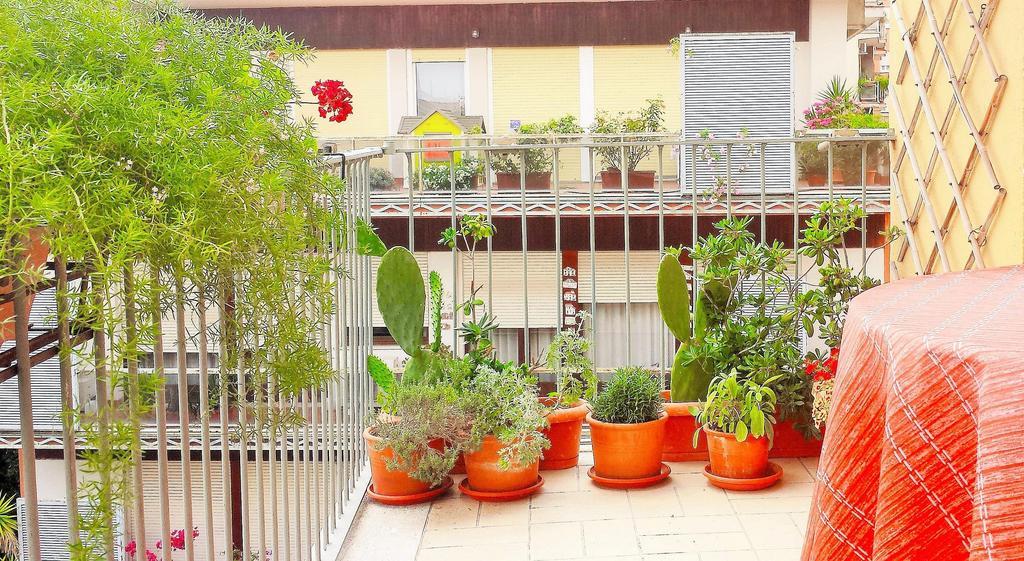 Romulus Rex Guest house 2*