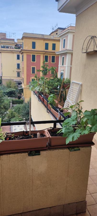 Homestay Camera Piazza Bologna *