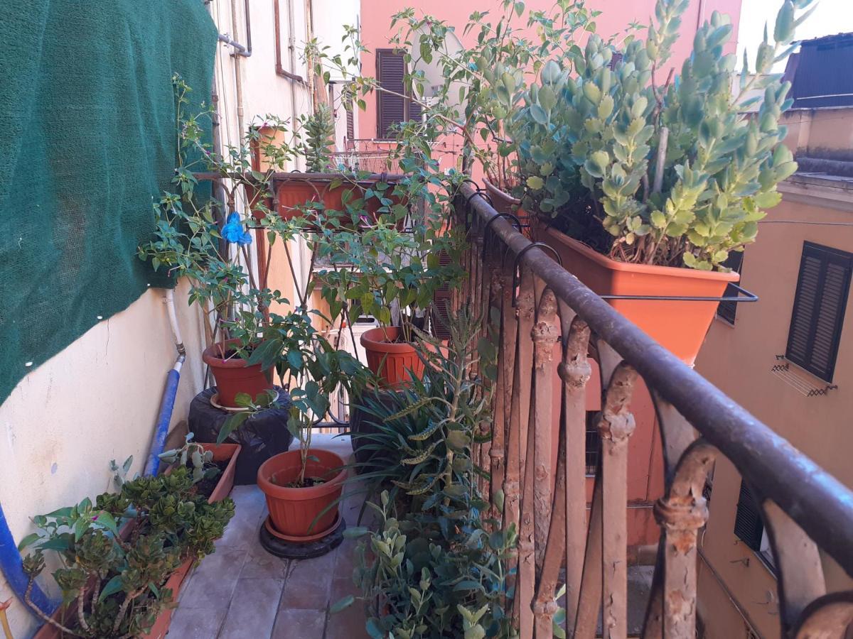Napoleone Luxury Guest house *
