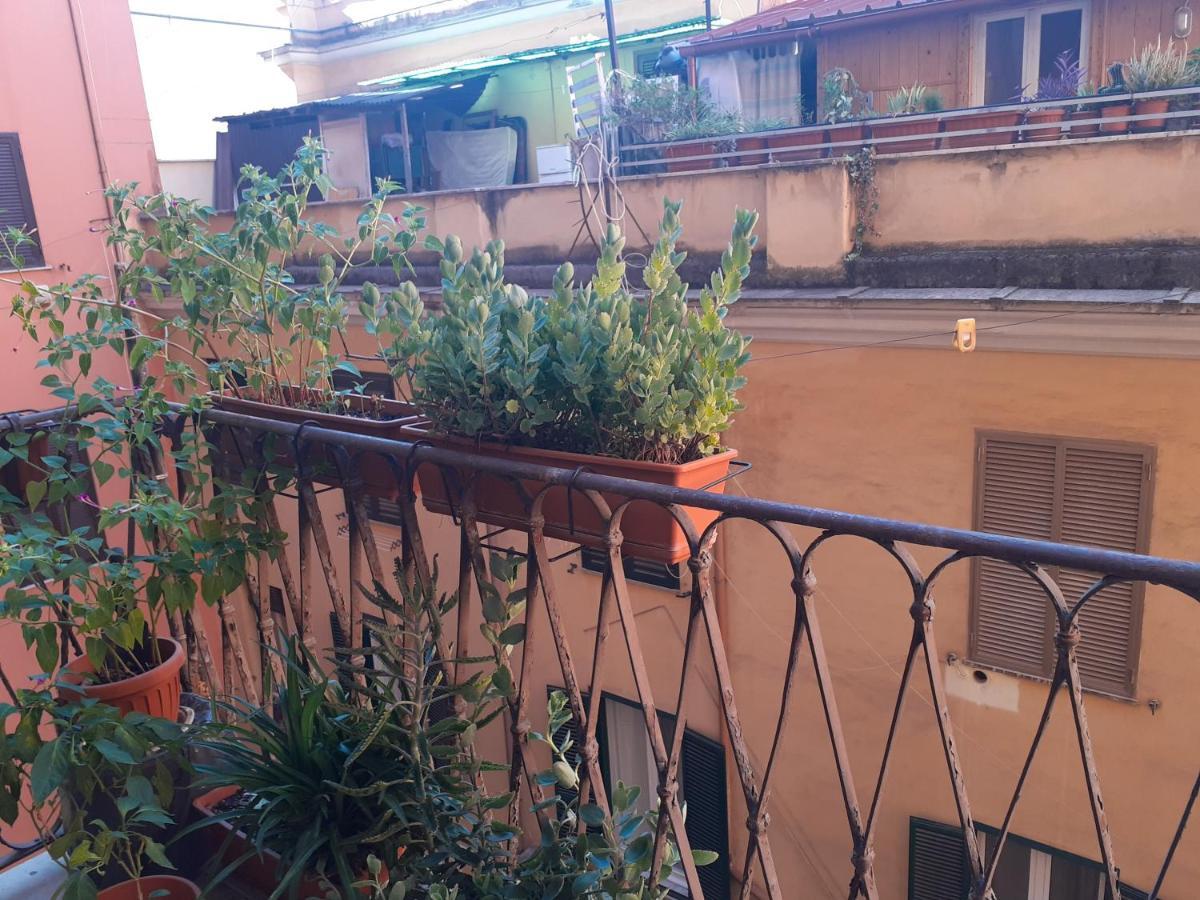 Napoleone Luxury Guest house *