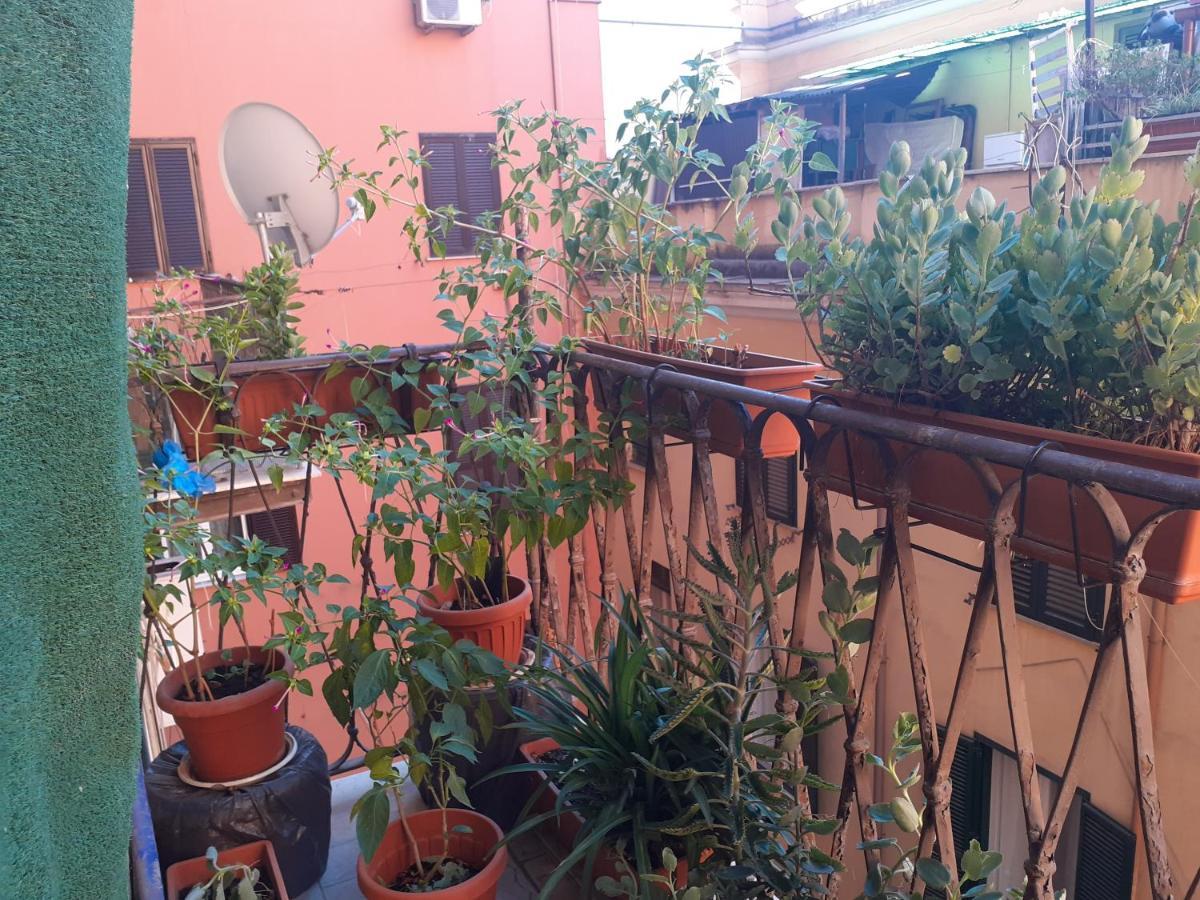 Guest house Napoleone Luxury