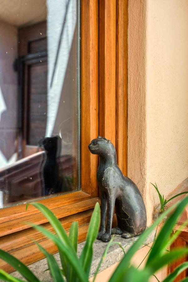 Maggiore 145 With Private Garden - Rione Monti Apartment *