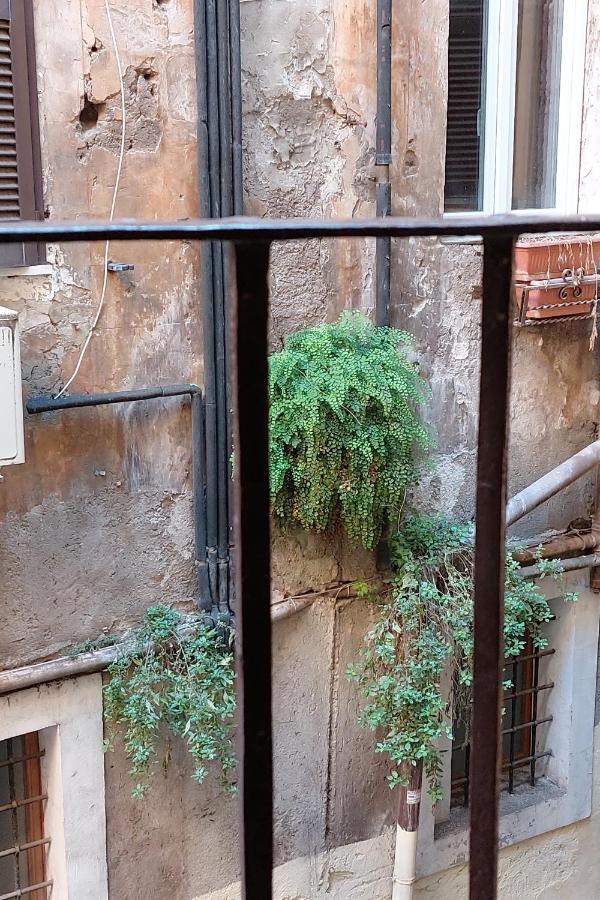 Apartment Cappellari
