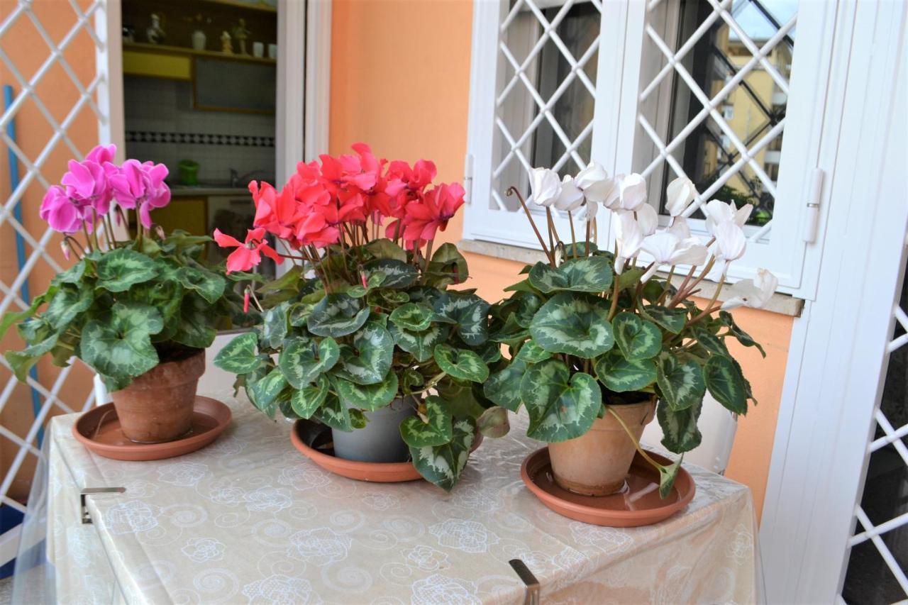 Casa D'arte Mary Apartment Rome