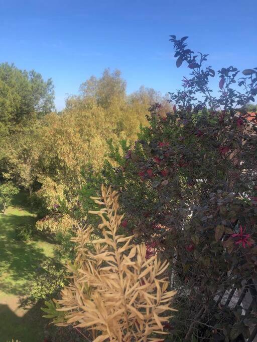 Casa Incantevole Con Vista Parco Appia Antica Holiday home *