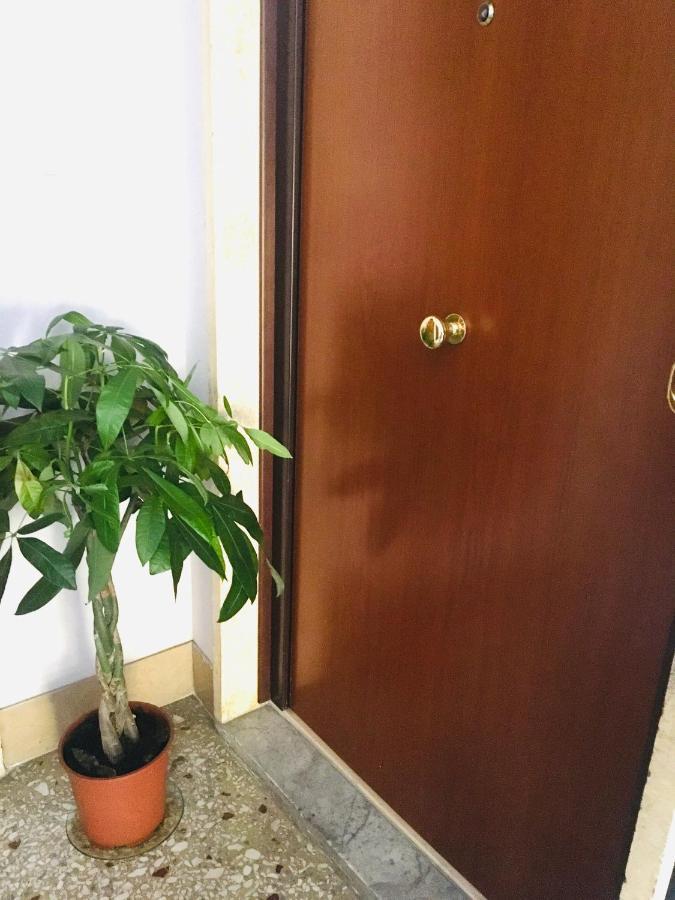 House Alessandrino