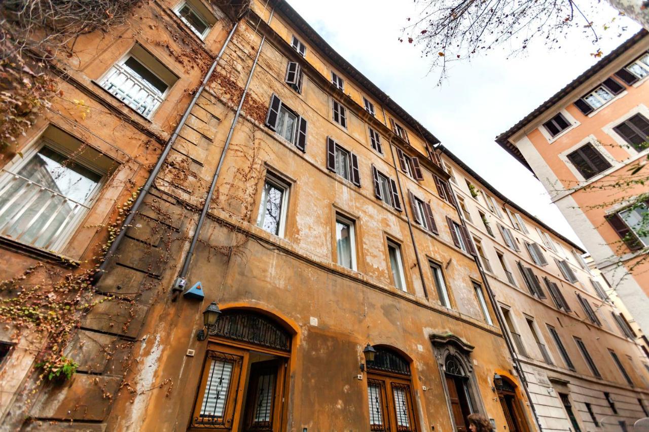 Navona Artist 7 *