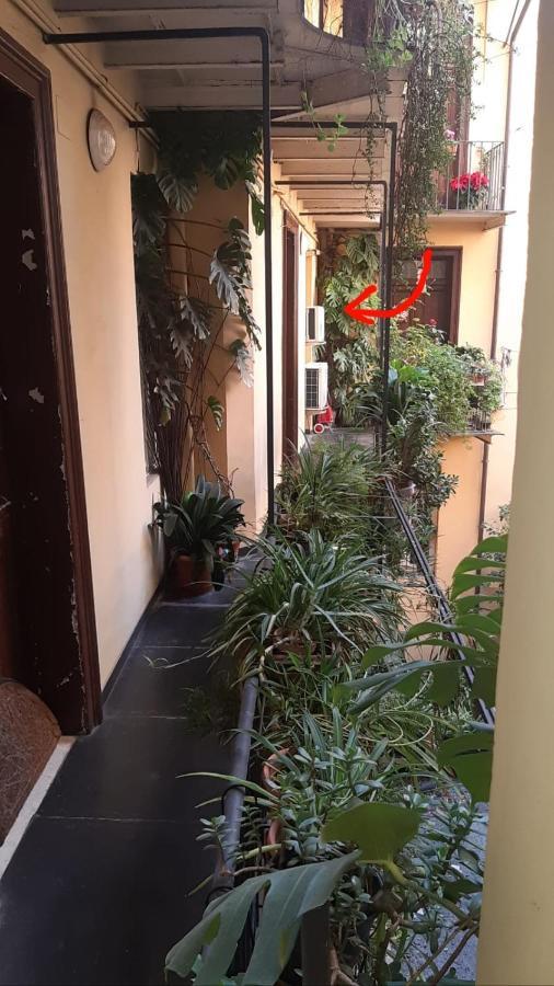 Apartment Charme De Vatican *
