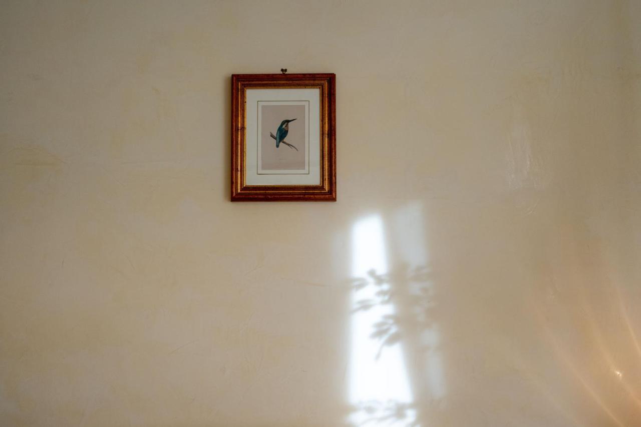 Ampio Con Vinili In Centro Storico Appartamento