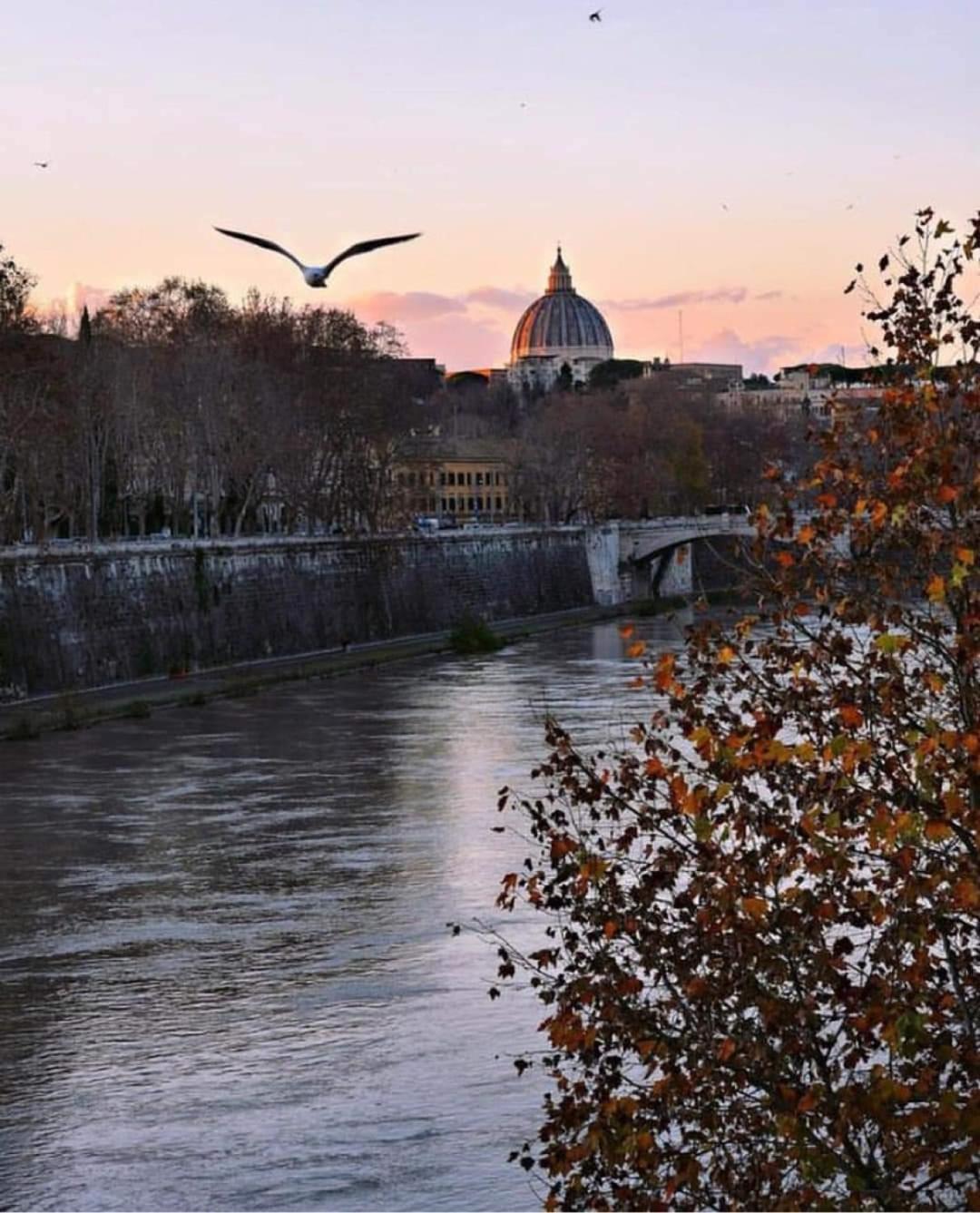 La Casa Di Ludovica All'appio Latino Appartamento *