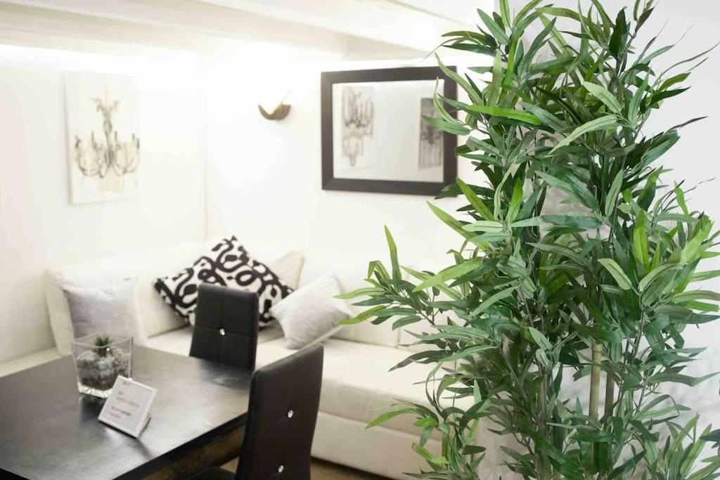 Via Dei Cestari Loft