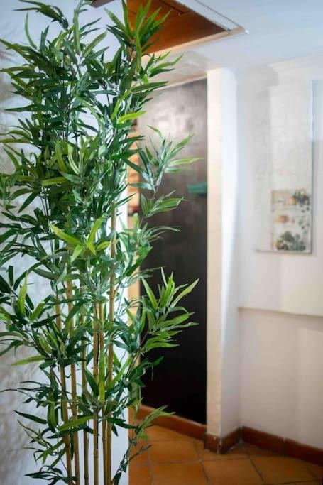 Via Dei Cestari Loft *