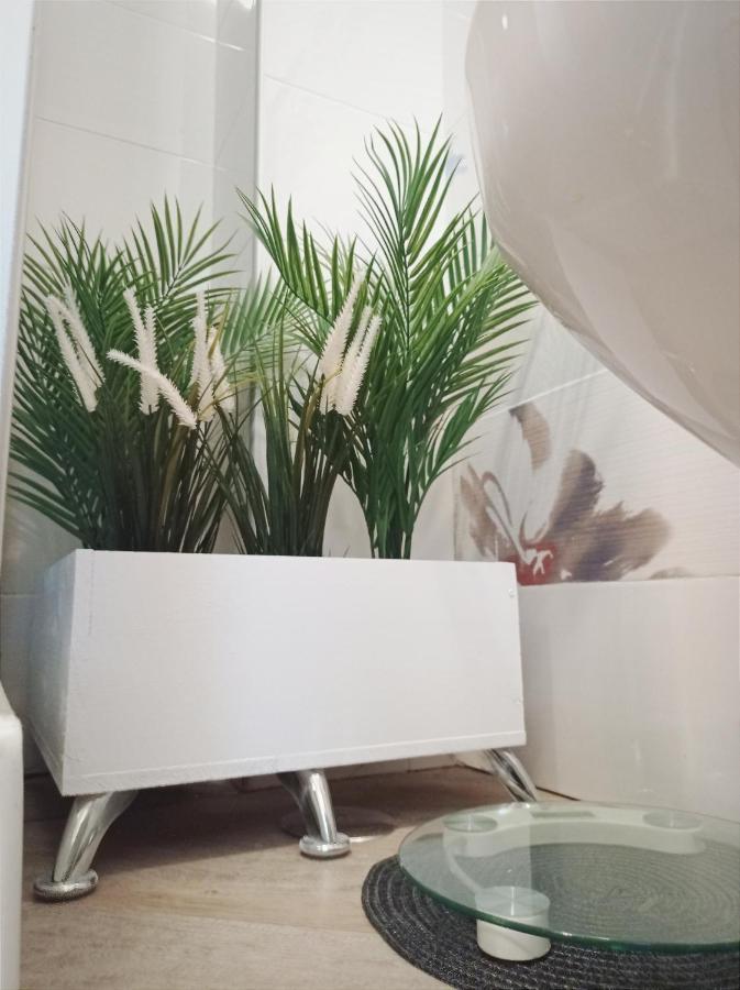 Bed & Breakfast Domus Pio Xi *