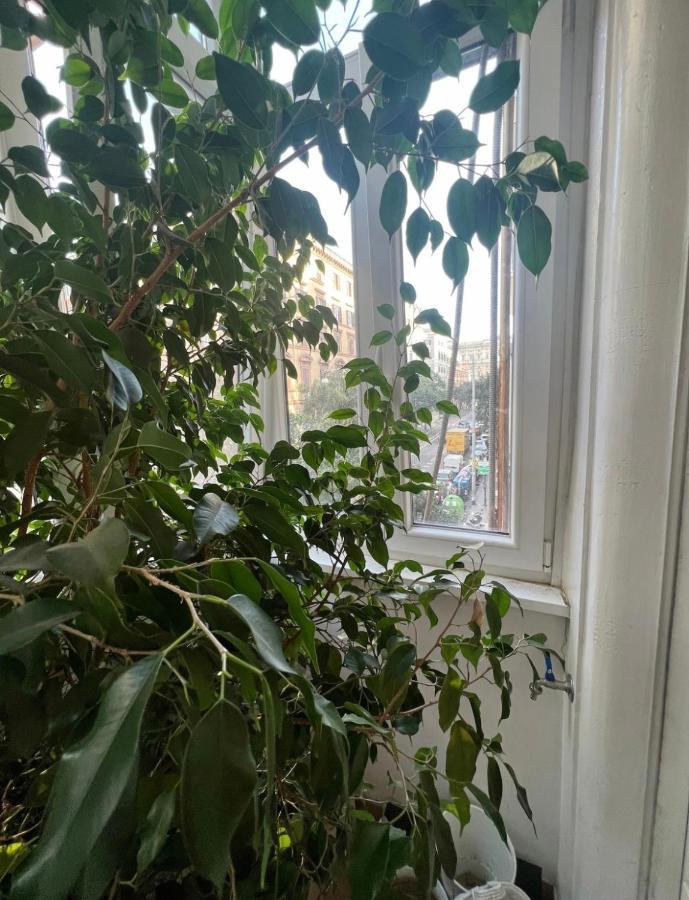 Cicerone Apartment Rome