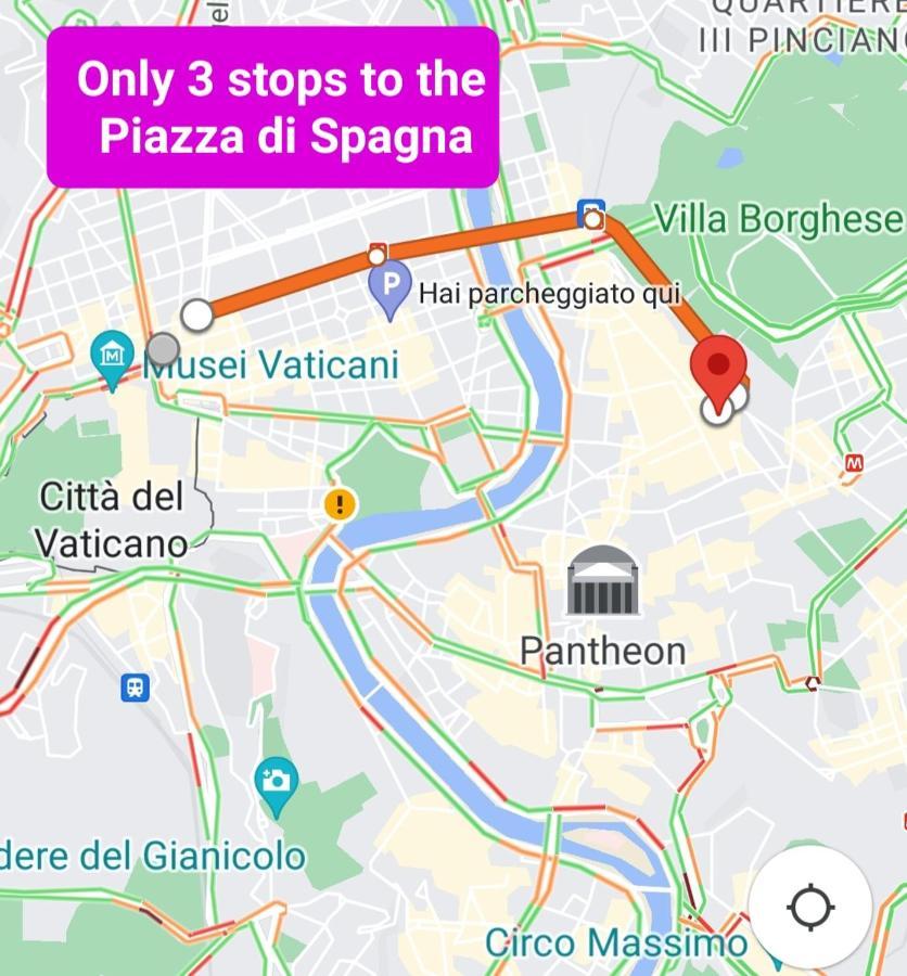Apartment Tizy & Toto's House Near Vatican Rome