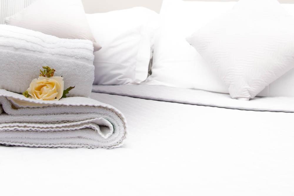 Cento Passi Dal Vaticano Bed & Breakfast Rome