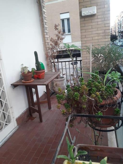 La Casa Di Carlotta Roma
