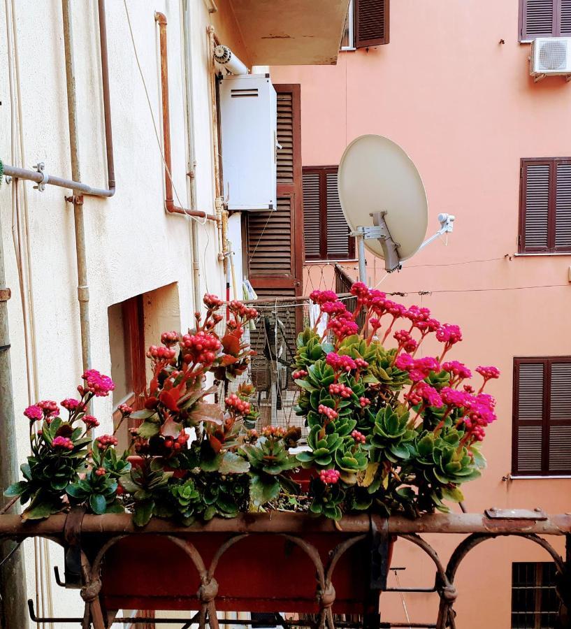 Napoleone Luxury Guest house