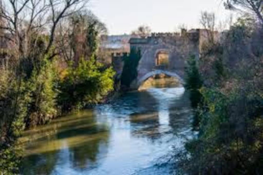 La Palma Degli Artisti Appartamento Roma