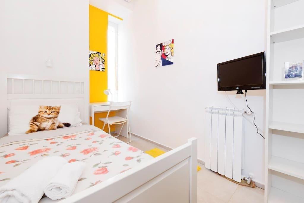 Colosseo Comfort Guest house *